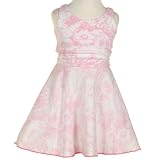 Little Girls Clothes PINK Country Spring Dress MAD SKY Boutique Girl 2T-6X