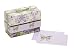 CR Gibson Elysian Field Boxed Note Cards (Pack of 3)