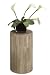 Kitchen & Housewares : 10