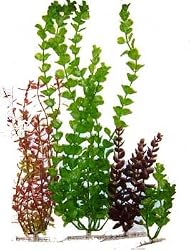 TETRA WW PLANT MULTI-PACK 5