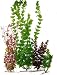 TETRA WW PLANT MULTI-PACK 5