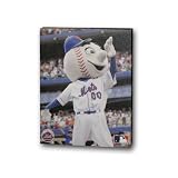 MLB New York Mets Artissimo Mascot 8 x 10 Canvas