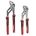CRAFTSMAN Pliers, 8 & 10-Inch, 2-Piece Groove Joint Set (CMHT82547)