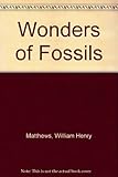 Wonders of fossils