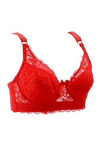 Pink Queen® Women Sexy Full Lace Sheer Underwire Push Up Bra
