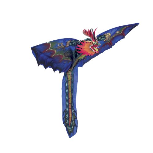 Childrens Toyshop  Toys : All Natural Handmade Dragon Kite