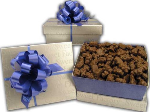 Sweet Factory Candy: Dark Chocolate Covered Raspberry Gummy Bear Silver Gift Box (1 1 2... by Raspberry Candy