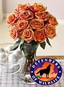 Defenders of Wildlife Majestic Sunset Roses