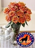 Defenders of Wildlife Majestic Sunset Roses, Eco-Friendly - VeriFlora Certified, Orange Rose Bouquet