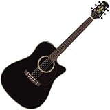 Takamine EG531SSC Dreadnought