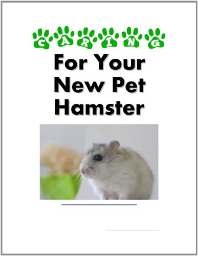 Caring For Your New Pet Hamster
