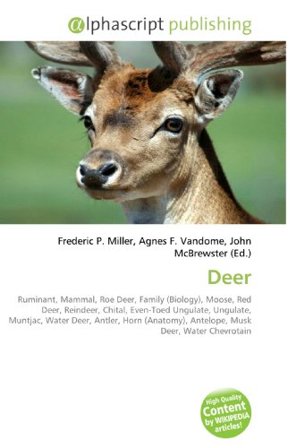 Deer: Ruminant, Mammal, Roe Deer, Family (Biology), Moose, Red Deer, Reindeer, Chital, Even-Toed Ungulate, Ungulate, Muntjac, Water Deer, Antler, Horn (Anatomy), Antelope, Musk Deer, Water Chevrotain