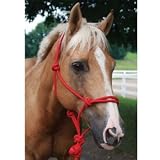 Basic Poly Rope Halter w/Lead Red