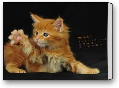 Funnyone Custom Modern Wall Art Decoration for Home Yellow Cat March Calendar Canvas Prints