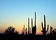 Colorful Arizona Sky at Dusk - Grand 16"x20" Photographic Print by Carol M. Highsmith