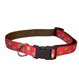 Large Fuchsia/Lime Dot Dog Collar: 1 wide, Adjusts 18-28.