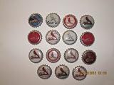 15 St. Louis Cardinal Bottle Cap Magnets