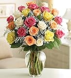 Funeral Flowers by 1800Flowers.com - Two Dozen Multicolored Roses for Sympathy