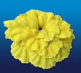 Nature's Image Artificial Corals: Yellow Nudibranch Eggs