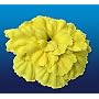 Nature's Image Artificial Corals: Yellow Nudibranch Eggs