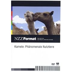 NZZ Format - Kamele: Ph�nomenale Nutztiere