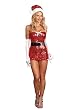 Red Hot Holiday Costume