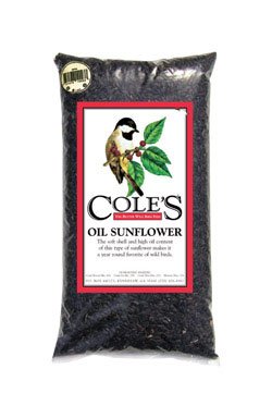 Cole's OS32 32 Pound Oil Sunflower