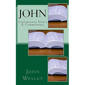 John: Explanatory Notes & Commentary