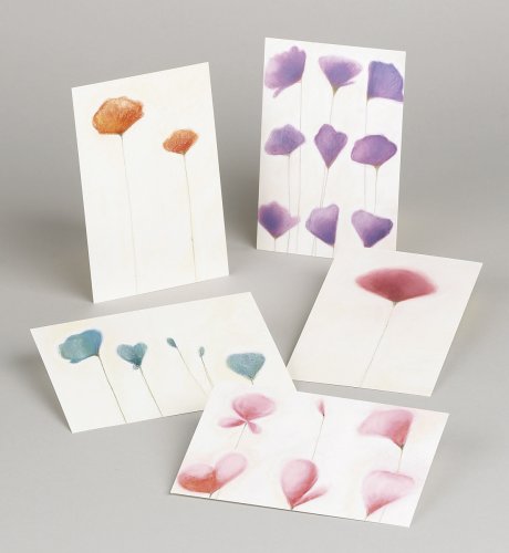 5 Part Delicate Floral Print Selection