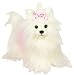 Webkinz White Yorkie Dog