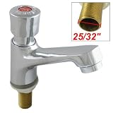 Amico Public Toilet Chrome Brass Self Closing Delay Faucet Filter Net Water Tap
