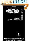 Society and Culture in the Slave South (Rewriting Histories)