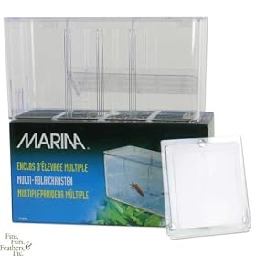Hagen 5-Way Convertible Breeding Trap by Hagen