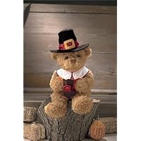 Gund Fun Gund Fun Pilgrim Storytime Bear Doll