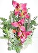 18" Orchid & Succulent Arrangement
