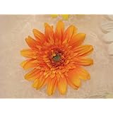 ���i�̏ڍ�