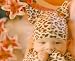 Organic - Leopard - Little Gnome Hat - Small