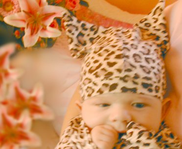 Organic   Leopard   Little Gnome Hat   Medium