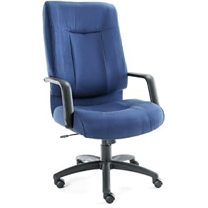 Alera ST41FA20B Stratus Series High-Back Swivel Tilt Chair, Blue Fabric