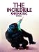 The Incredible Shrinking Woman The Incredible Shrinking Woman