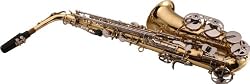 LJ Hutchen Eb Alto Saxophone with Plush-Lined Case