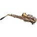 LJ Hutchen Eb Alto Saxophone with Plush-Lined Case