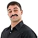 Rhode Island Novelty Adhesive Mustache Set