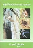 Bats of Britain and Ireland