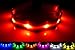NEW - GoDoggie-GLOW - USB Rechargeable LED Dog Safety Collar - 7 Colours & 4 Sizes - Intro Offer - Super-Bright LED's Glow & Flash - Connects to Devices to Recharge - No Batteries Required - Great Fun & Improved Dog Safety - Red Medium