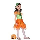 Amurleopard Children Kids Halloween Costume Pumpkin XL