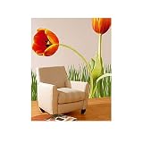 Plage  Tulipe Courbee (Curved Tulip)