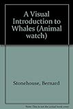 A visual introduction to whales, dolphins and porpoises