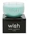 Primal Elements Wish Candle, Wish, 11-Ounce Box