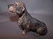 Wirehair Dachshnd Dog Figure Dogs & Pups Galore Figurine